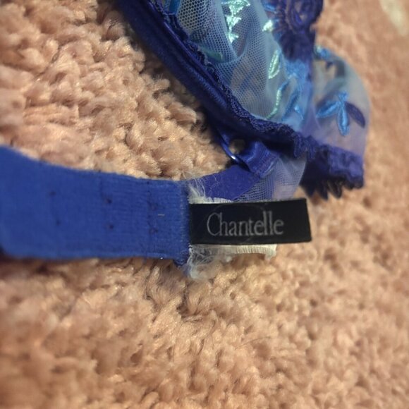 Vintage Chantelle Blue Lace Charm Bralette Womens Sz C / Sexy Sleepwear - Picture 4 of 5